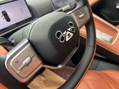 Chery Fengyun A9L 260 Ultra-Long Range Luxury Edition - photo 9