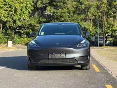 Tesla Model Y Rear-Wheel Drive - ფოტო 2