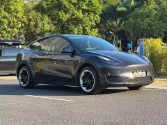 Tesla Model Y Rear-Wheel Drive - ფოტო 3