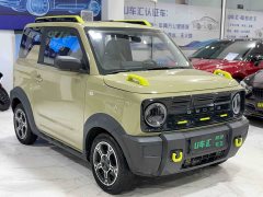 Geely Panda 200km Panda Knight - photo 3