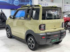 Geely Panda 200km Panda Knight - photo 9