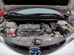 Toyota Sienna 2.5L Hybrid Platinum Edition - photo 19