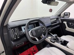 Jetour Jietu Shanhai T1 150km Xianghai - photo 12