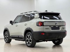 Jetour Jietu Shanhai T1 150km Xianghai - photo 3