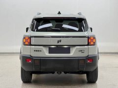 Jetour Jietu Shanhai T1 150km Xianghai - photo 4