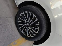 Buick GL8 New Energy Lusang Respect Edition - ფოტო 6
