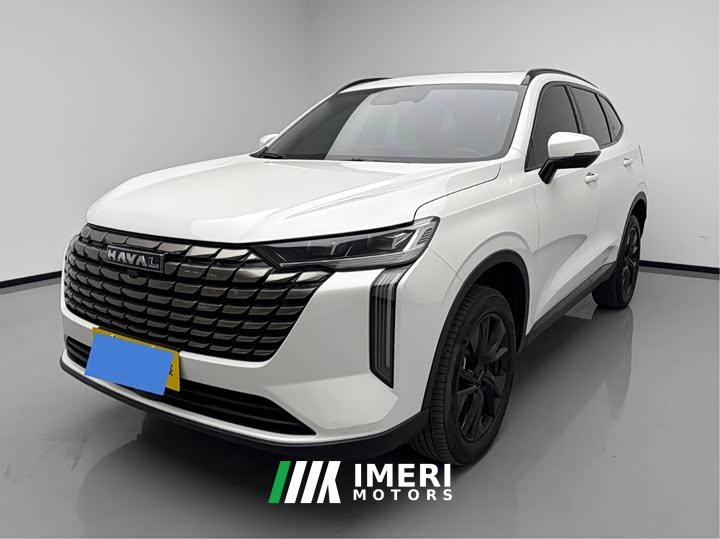 Haval H6 1.5T Two-Wheel Drive Pro - car from China