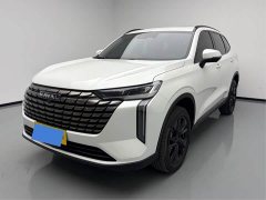 Haval H6 1.5T Two-Wheel Drive Pro - photo 1