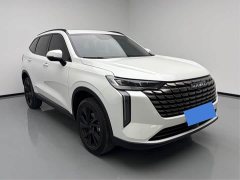Haval H6 1.5T Two-Wheel Drive Pro - photo 10