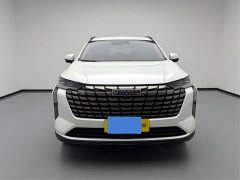 Haval H6 1.5T Two-Wheel Drive Pro - photo 11