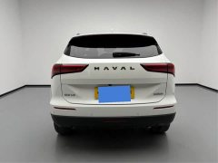 Haval H6 1.5T Two-Wheel Drive Pro - photo 6