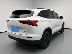 Haval H6 1.5T Two-Wheel Drive Pro - photo 8