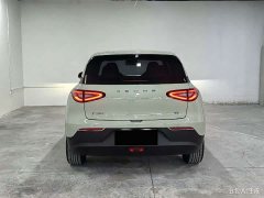 Geely Star Wish 410km Freedom Edition - фото 11
