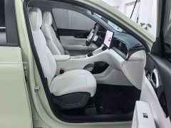 Geely Star Wish 410km Freedom Edition - фото 6