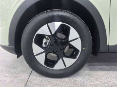 Geely Star Wish 410km Freedom Edition - фото 8