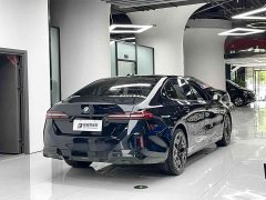 BMW 5 Series 530Li Luxury M Sport Package - photo 11