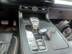GAC Aion GS8 Pioneer Series 2.0T GDI FWD Luxury Smart Connected Edition 7-Seater - photo 13