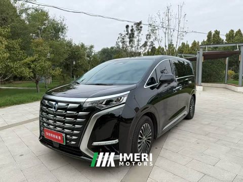 2024 Denza D9 DM-i 970 AWD Flagship - ავტომობილი ჩინეთიდან