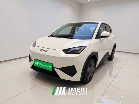 2026 BYD Seagull Smart Drive 305km Vitality Edition - ავტომობილი ჩინეთიდან