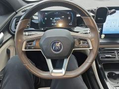 BYD Qin PLUS Champion Edition DM-i 55KM Leading - фото 10