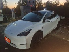 Tesla Model Y Performance All-Wheel Drive - ფოტო 1
