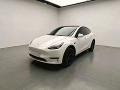 Tesla Model Y Rear-Wheel Drive - ფოტო 1