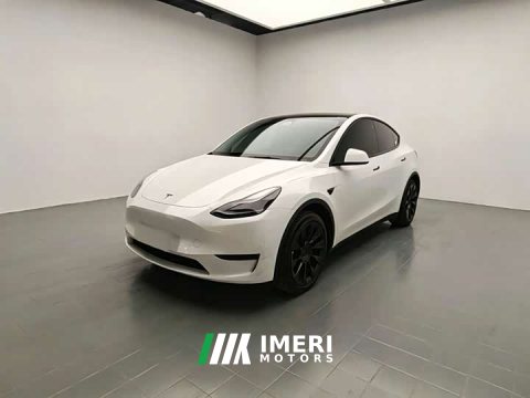 2022 Tesla Model Y Rear-Wheel Drive - ავტომობილი ჩინეთიდან