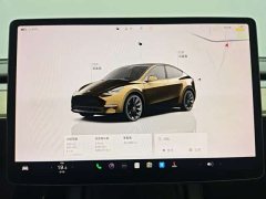 Tesla Model Y Rear-Wheel Drive - ფოტო 10