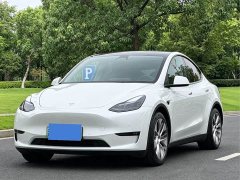 Tesla Model Y Standard Range RWD - фото 1