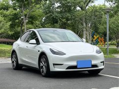 Tesla Model Y Standard Range RWD - фото 3