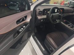 Chery Tiggo 9 2.0T Automatic Two-Wheel Drive Premium 5-Seater - ფოტო 15