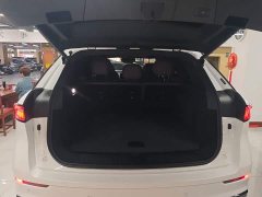 Chery Tiggo 9 2.0T Automatic Two-Wheel Drive Premium 5-Seater - ფოტო 18