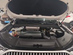 Chery Tiggo 9 2.0T Automatic Two-Wheel Drive Premium 5-Seater - ფოტო 19