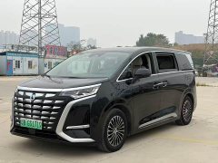 Denza D9 DM-i 970 AWD Premium Edition - ფოტო 1