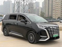 Denza D9 DM-i 970 AWD Premium Edition - ფოტო 3
