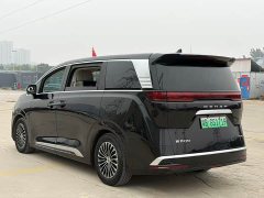 Denza D9 DM-i 970 AWD Premium Edition - ფოტო 7