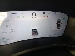 BYD Song Plus New Energy DM-i 112KM Luxury Edition - фото 11