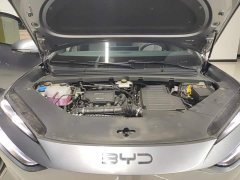 BYD Sealion 06 DM-i 205 Pilot Pro - фото 10
