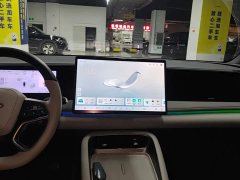 BYD Sealion 06 DM-i 205 Pilot Pro - фото 13