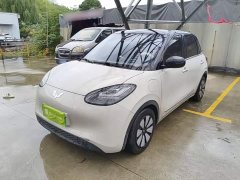 Wuling Binguo 333km Lingxi Connected Edition - ფოტო 1