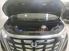Denza D9 DM-i 980 Four-Wheel Drive Premium - фото 19