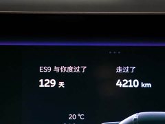NIO ES9 102kWh Executive Island Luxury Edition - ფოტო 20