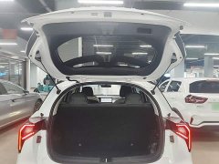 Geely Geometry E Firefly 401KM Linglong Tiger 4-Seater - ფოტო 18