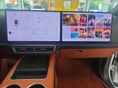 Li Auto L6 Pro - ფოტო 8