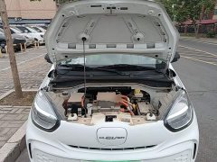 SAIC Corey Wei CLEVER 302km New Four-Seat Super Version - photo 19