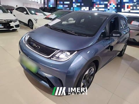 2024 BYD Dolphin Glory Edition 420km Freedom Version - ავტომობილი ჩინეთიდან