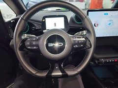 BYD Dolphin Glory Edition 420km Freedom Version - ფოტო 10