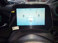 BYD Dolphin Glory Edition 420km Freedom Version - ფოტო 11