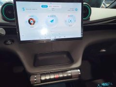 BYD Dolphin Glory Edition 420km Freedom Version - ფოტო 12