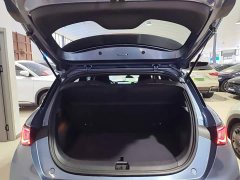 BYD Dolphin Glory Edition 420km Freedom Version - ფოტო 18